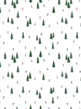 Load image into Gallery viewer, Ski Print Headbands (set of 2)
